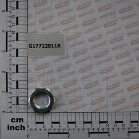 Maschio Gaspardo DADO M20X 2,5 SINISTRO ZN. G17722811R