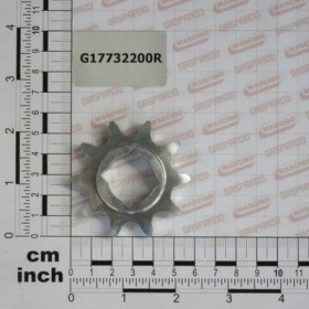 Maschio Gaspardo PIGNONE Z10 5/8-3/8 ZN G17732200R