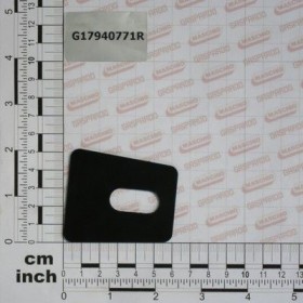 Maschio Gaspardo RAZUITOR CENTRAL DISC G17940771R