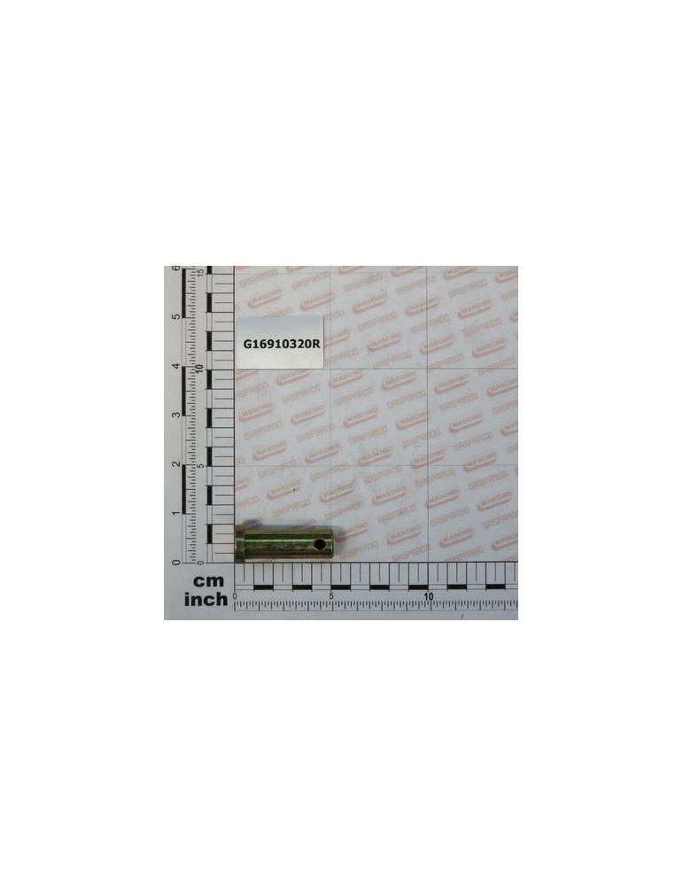 GALVANIZED PIN 15,00X38