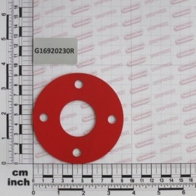 LOCK WASHER