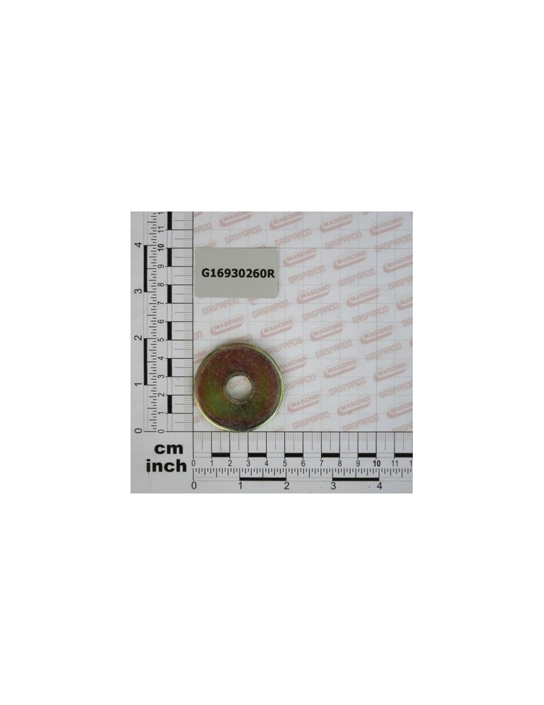 LOCK WASHER