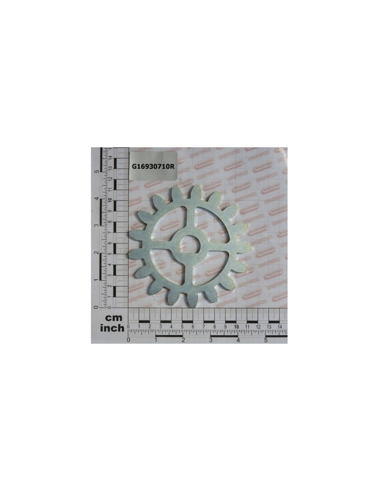GEAR Z-17 M6 ZN
