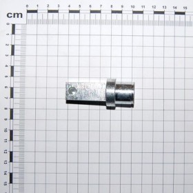 SEED TRANS.PIN ZN