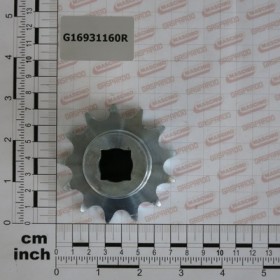 PINION