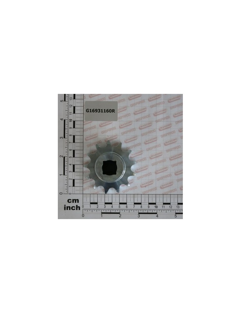 PINION