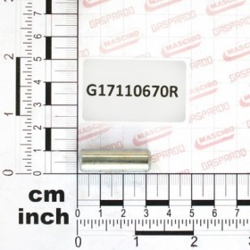 PIN D.10X31 ZN