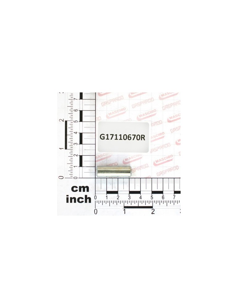 PIN D.10X31 ZN