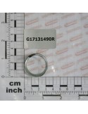 CLUTCH SPRING 6R SHORT