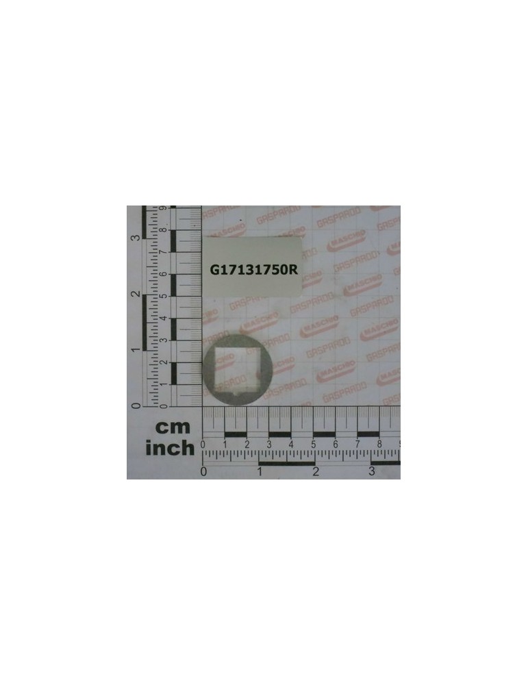 WASHER Q.20,5 X32 X3 ZN