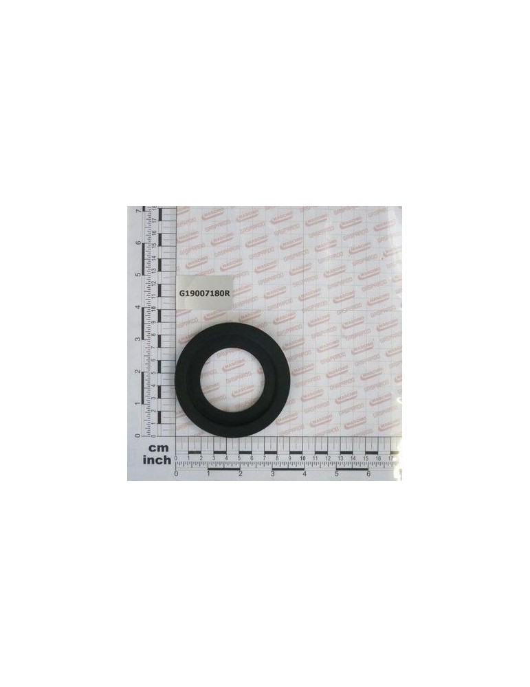 Maschio Gaspardo GARNITURA D.70 MM G19007180R