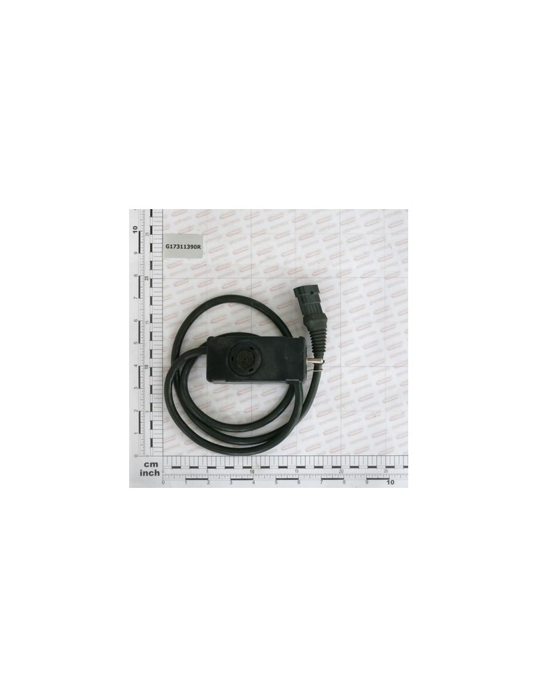 JOYSTIC CCS 100 WITH PIN