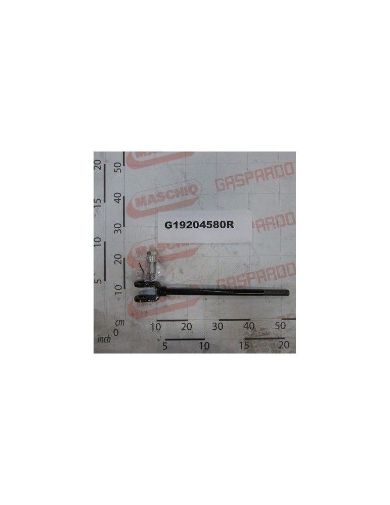 Maschio Gaspardo TIRANTE MOLLA ELEMENTO M20 ZN G19204580R