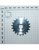 Maschio Gaspardo PINION INF.Z-20 FIER G20910041R