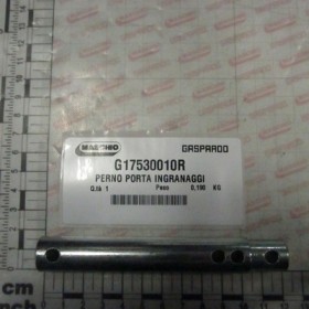 GEARHOLDER PIN