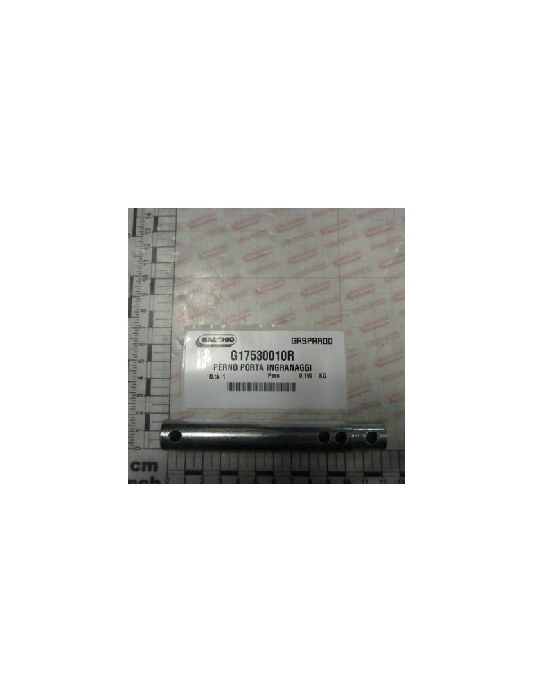 GEARHOLDER PIN