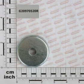 Maschio Gaspardo SAIBA.FUNDAL.D.15 ROTI P.RANGH G20970520R