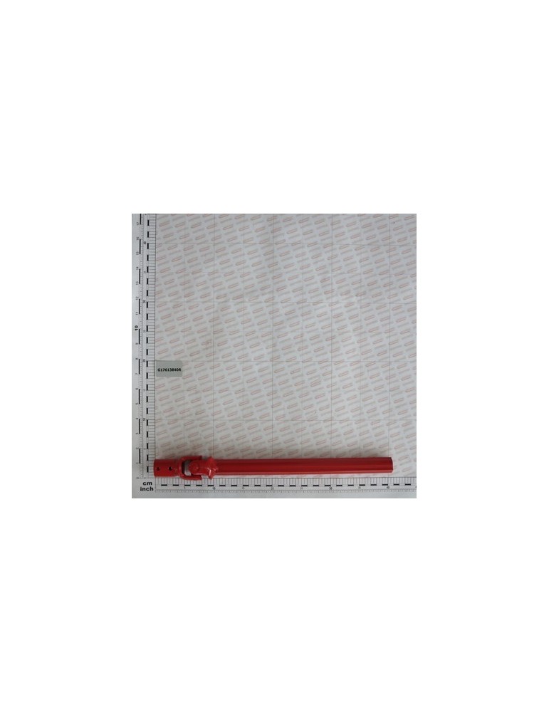 INT.AL CARDAN JOINT L.300 Q16