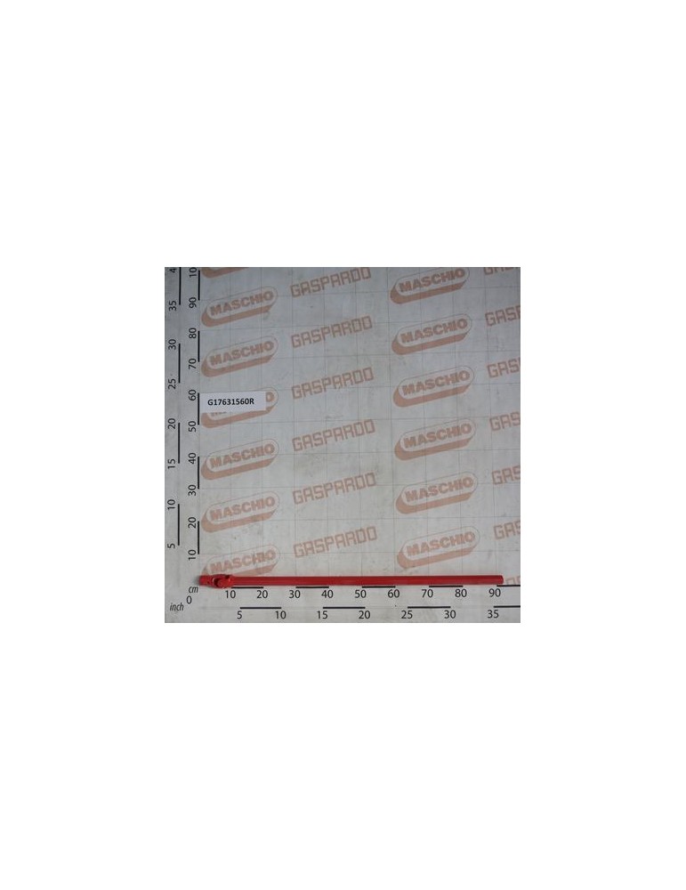 INT.AL CARDAN JOINT L.800 Q16
