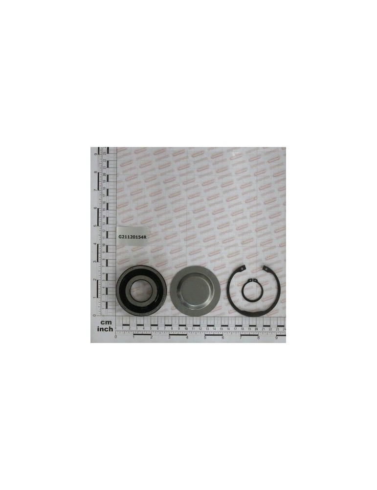 Maschio Gaspardo SET RULMENT BIELA EXT. FB G21120154R