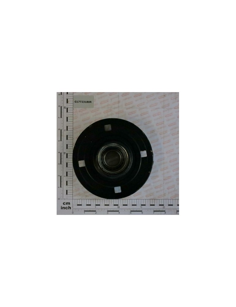 HUB WITH BEARING