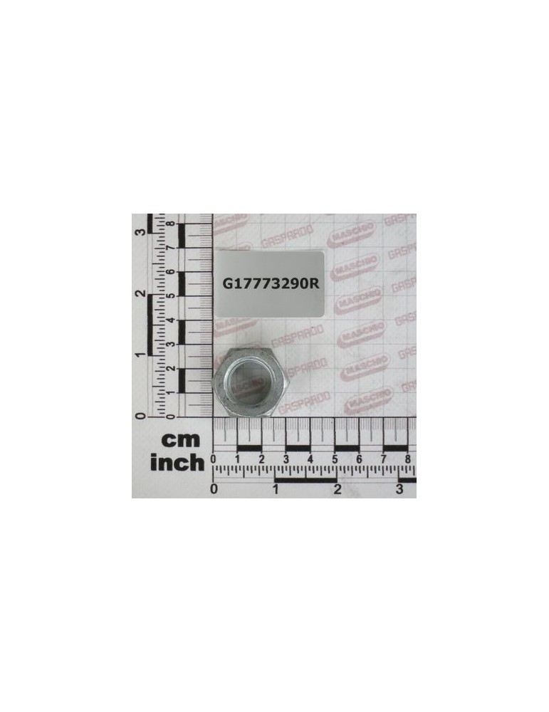 SELF-LOCKING NUT 3/4-10 ZN