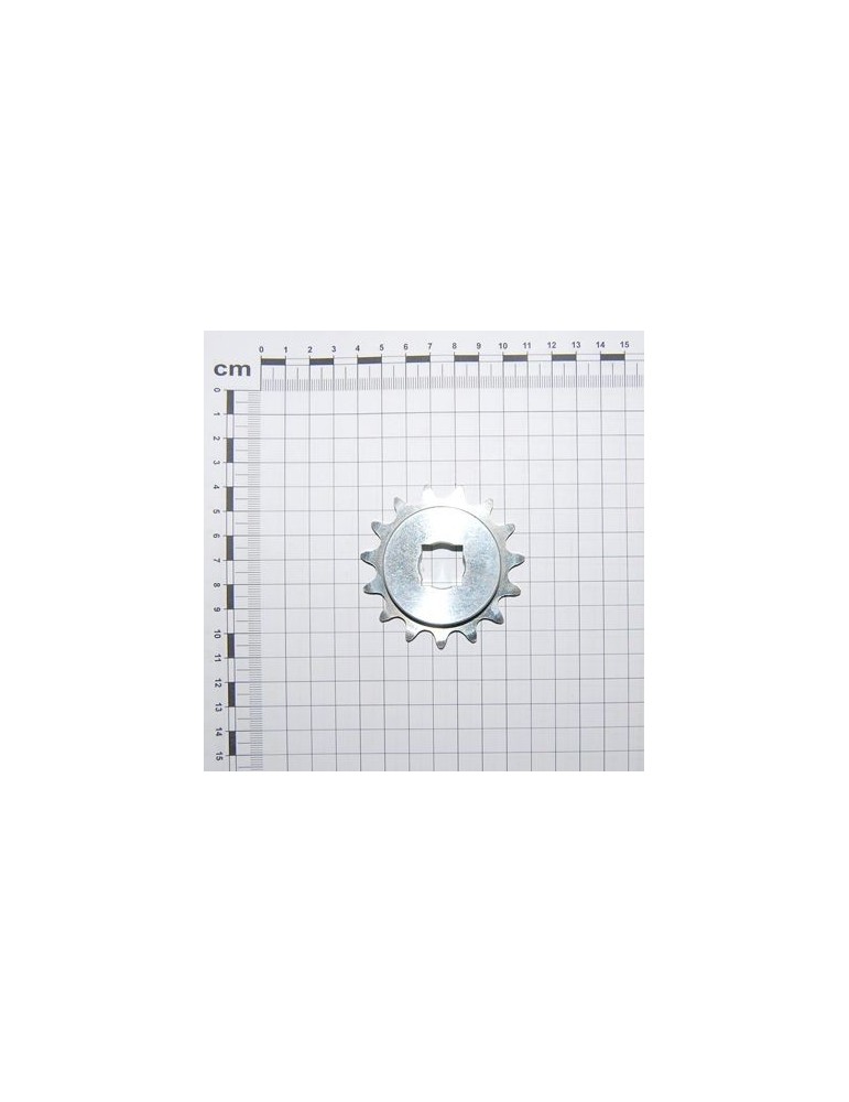 Maschio Gaspardo PINION Z-15 SV G22250028R