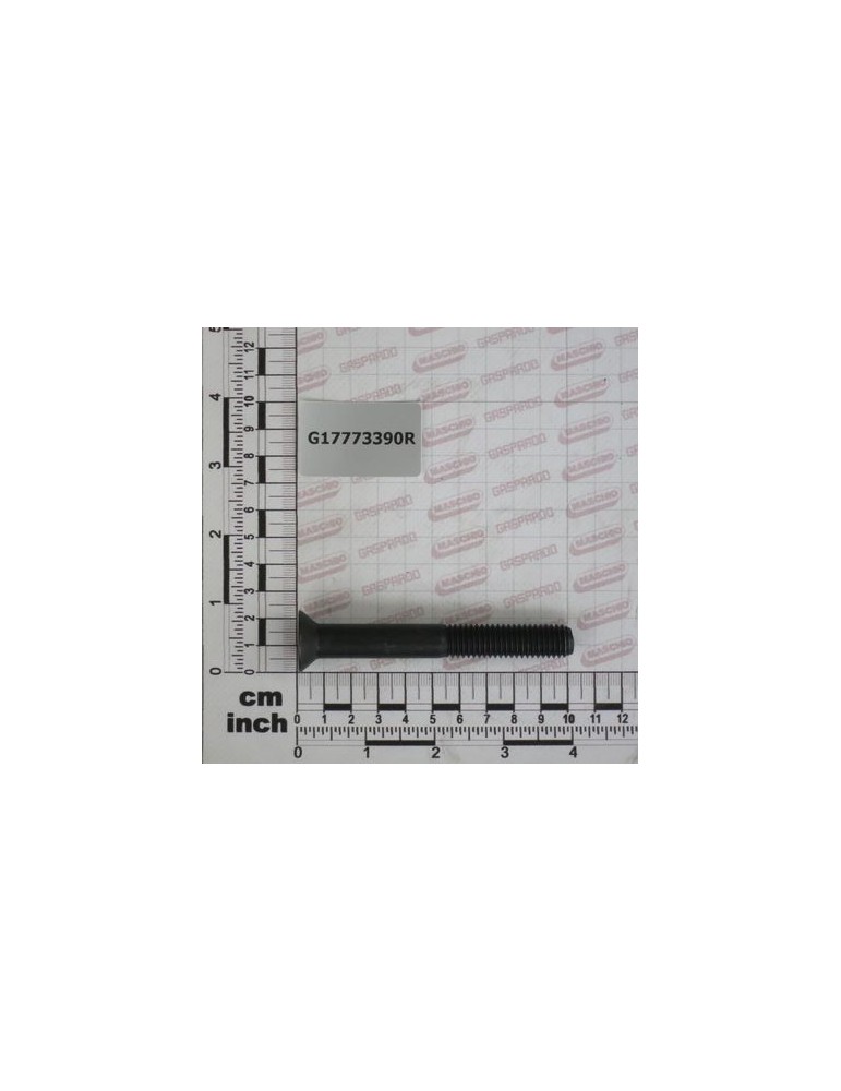 SCREW TSEI 1/2-13X4