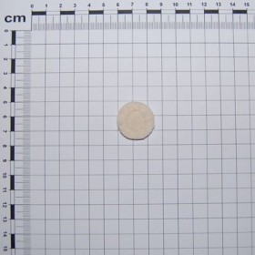 Maschio Gaspardo PROTECTIE PRAF D.25 G22270079R