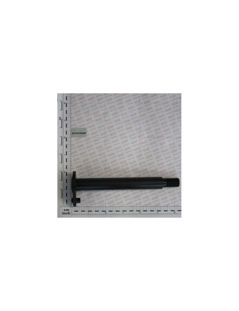 PIN FOR LATERAL WING