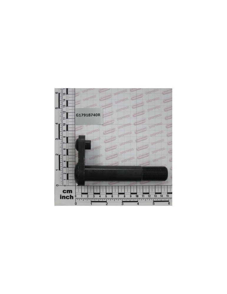 ASSY HINGE PIN