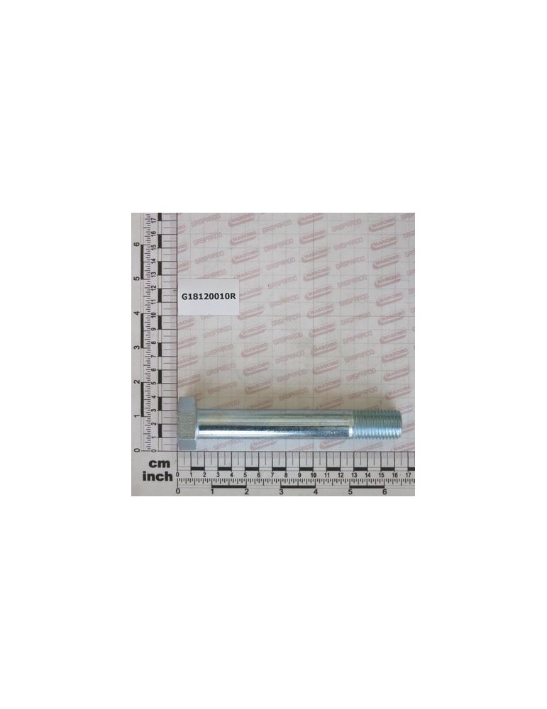 SCR. M22X145 10.9