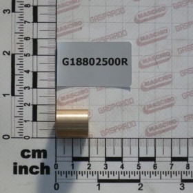 BOLT 17X8X19