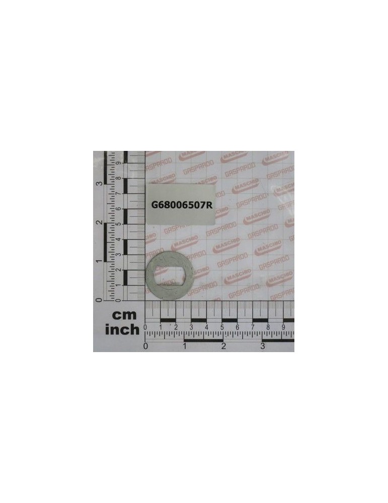 Maschio Gaspardo ROND.TRANCIATA SP.1 DCRT320 G68006507R