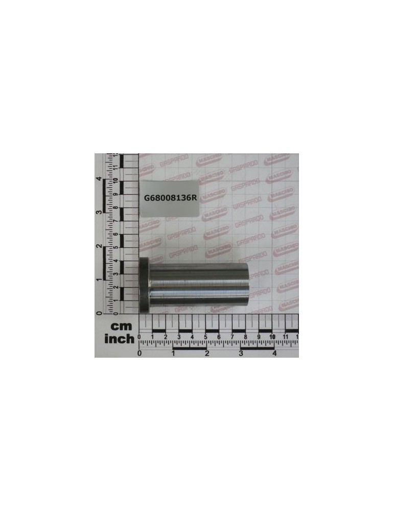 Maschio Gaspardo BUTUC INTERIOR G68008136R