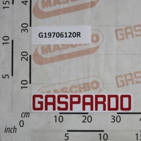 DECAL.GASPARDO H55.