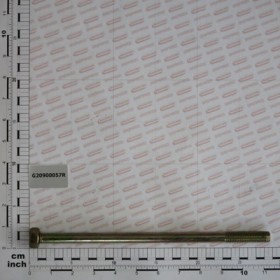 EXT. SUPP.BOLT.M 14X270 HL