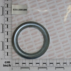 ANTERIOR WASHER