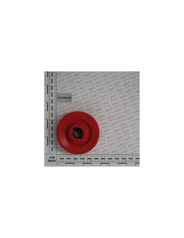 DRIVEN PULLEY