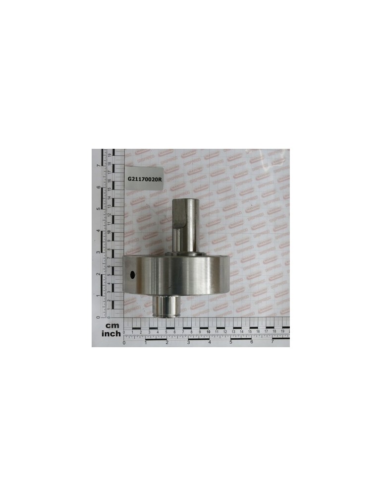 HINGE ECCENTRIC