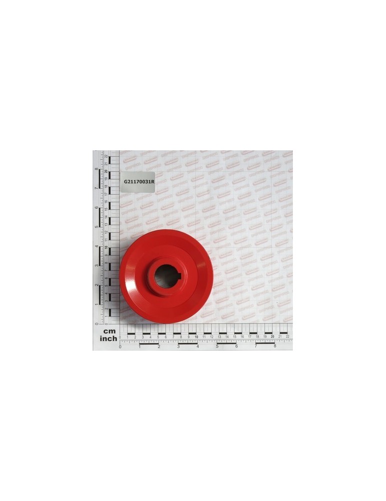DRIVEN PULLEY