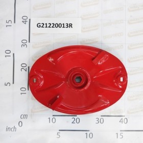 CENTRAL PLATE