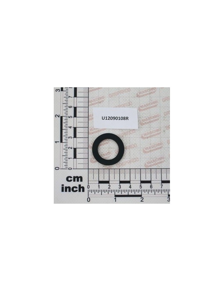 Maschio Gaspardo GUAR.PIANA $20X30,7X2,5 EPDM U12090108R