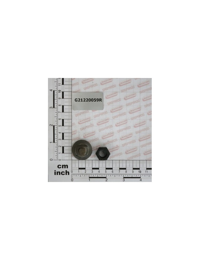 BLADE BOLT ASSY. M12