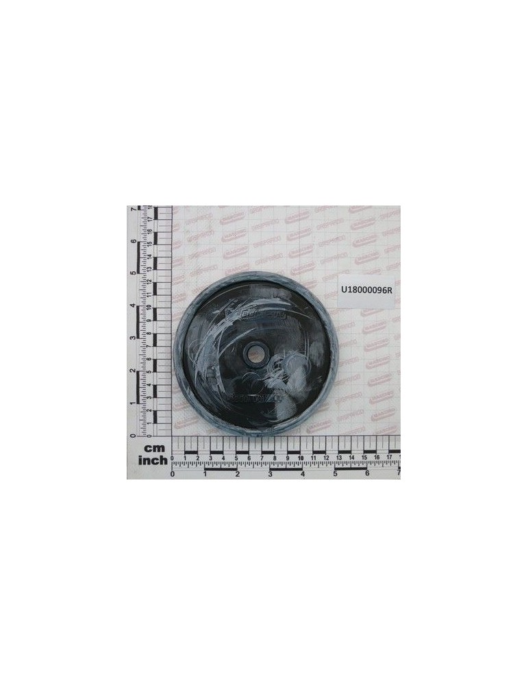 Maschio Gaspardo MEMB.POMPA $125 APS141-145 IDS U18000096R