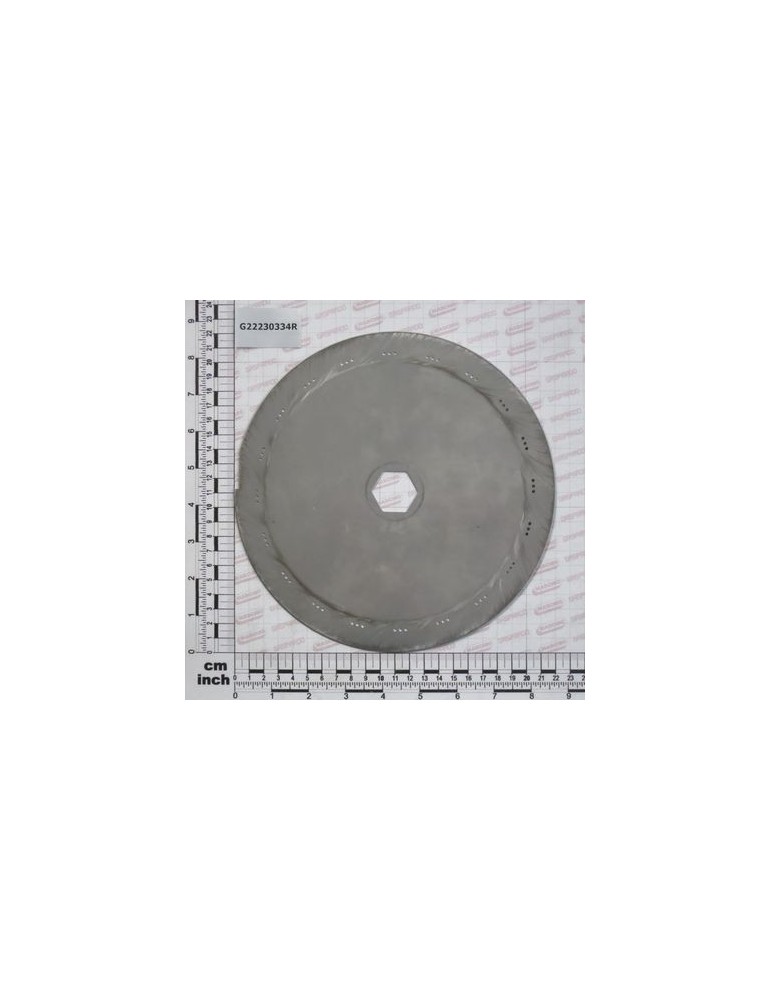 REAR DISC S.P.20G. 3H.2.1 LM