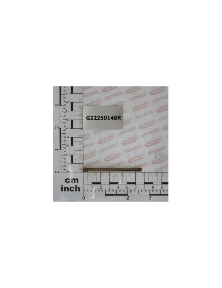 CONTROL PIN SV