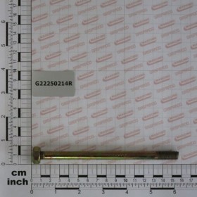 BOLT M10X146 ZN SV