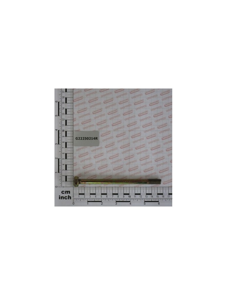 BOLT M10X146 ZN SV
