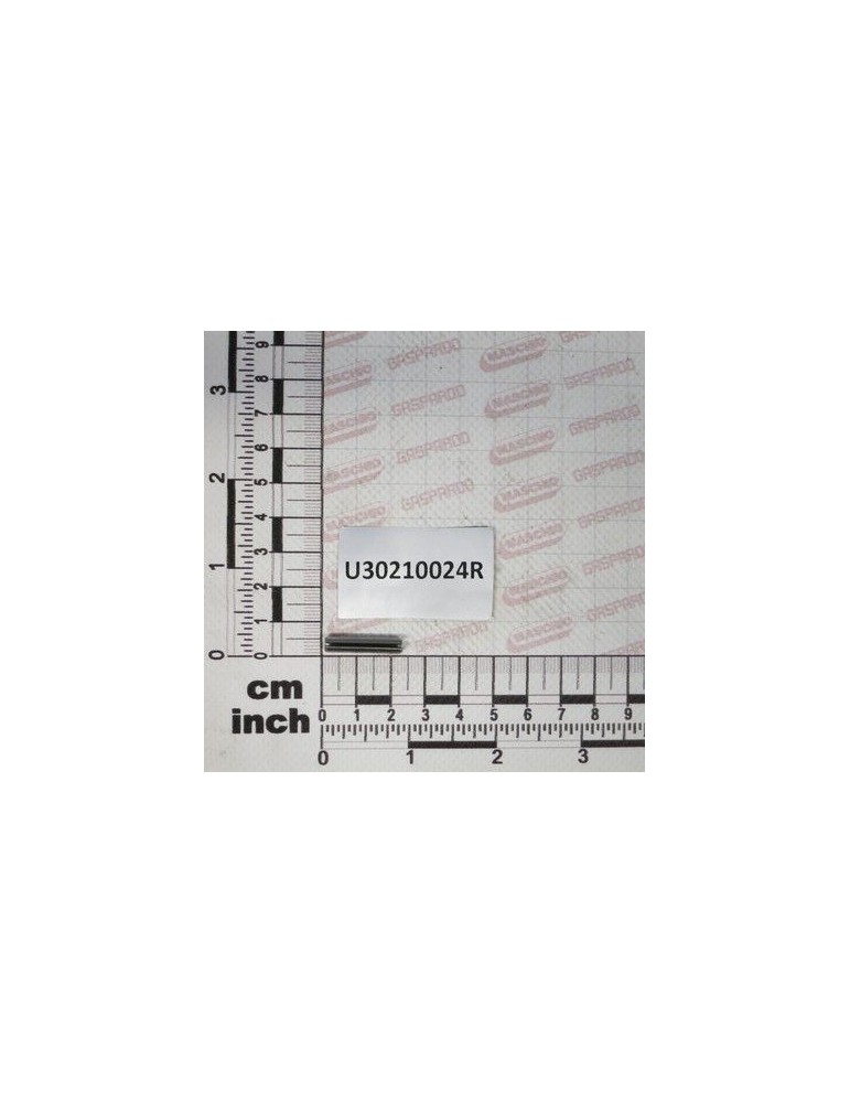 Maschio Gaspardo SPINA ELS $4X22 INOX UNI6873 - U30210024R